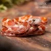 Kornnatter, Pantherophis Guttatus BLOODER -Zoofachgeschäft Kornnatter Pantherophis guttatus Blooder 14