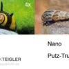 Nano Putz-Truppe: 4x Geweihschnecke + 5x Turmdeckelschnecke -Zoofachgeschäft Nano Putz Truppe 4 x Geweihschnecke 5 x Turmdeckelschnecke