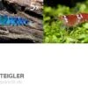 TiBee Starterpack: 5 X Blaue Tigergarnele + 5 X Crystal Red Garnele -Zoofachgeschäft TiBee Starterpack 5 x Blaue Tigergarnele 5 x Crysta